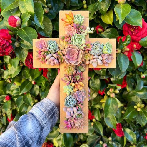 Succulent Filled Cross Arrangement ( Live Plants )